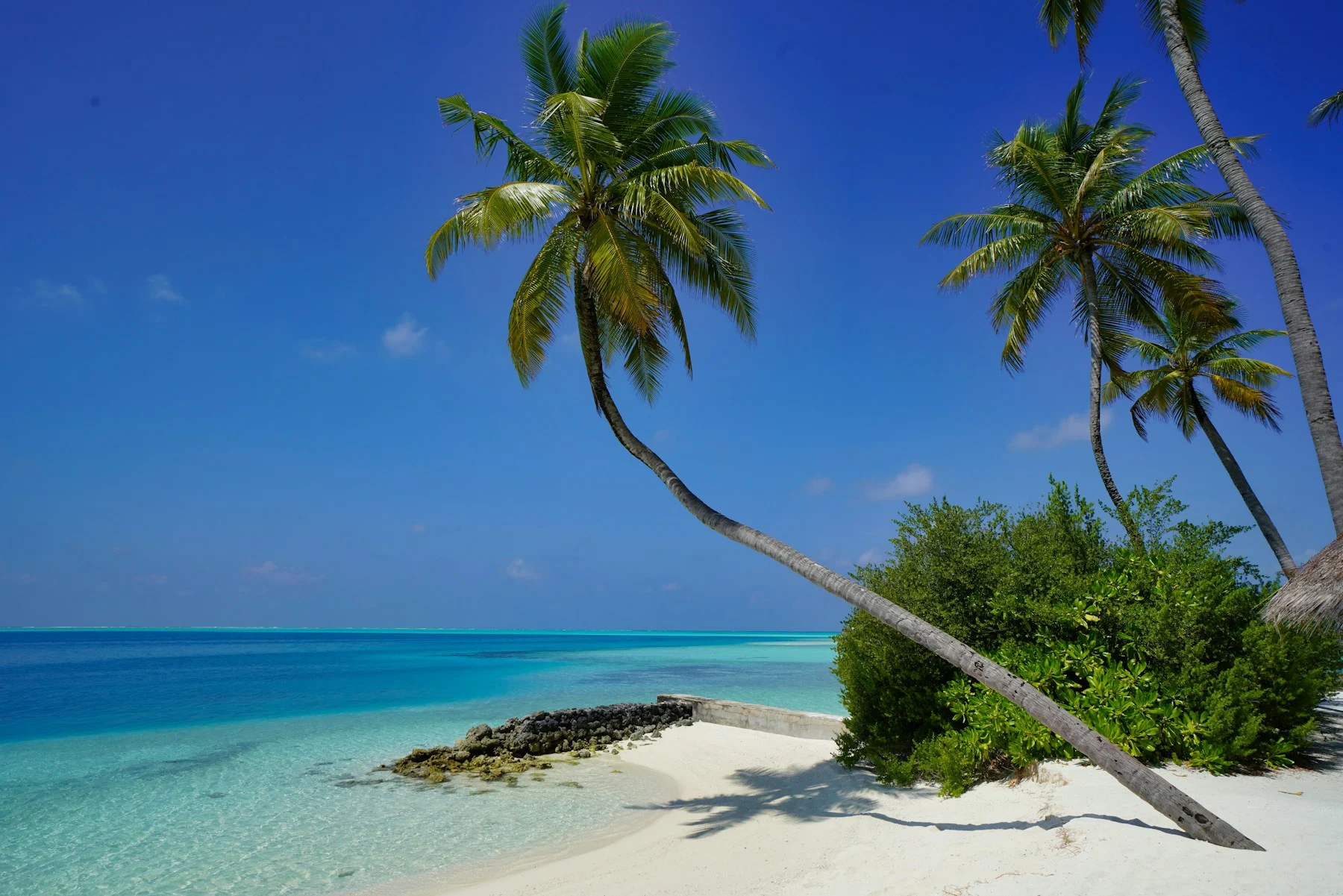 All Inclusive – Symbolbild